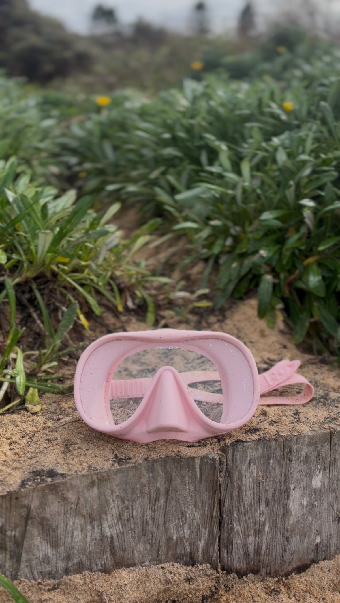Viare Snorkel Set - Seashell Pink